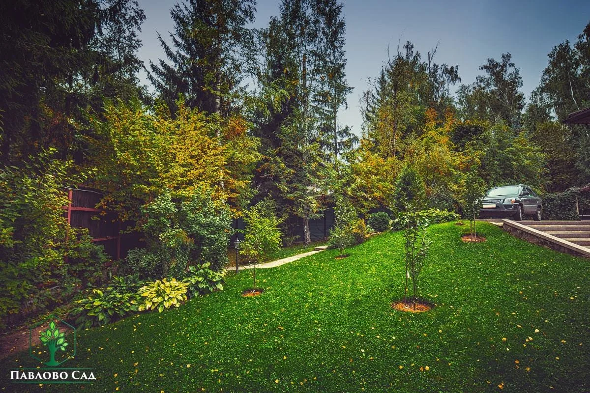 Озеленение — фотография работы 35